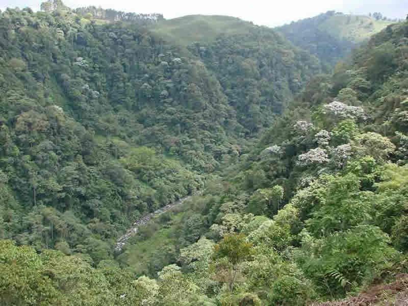 Reserva Natural Barbas Bremen