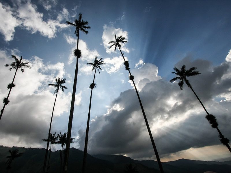 El Valle de Cocora Colombia