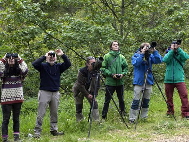 observacion de aves Colombia